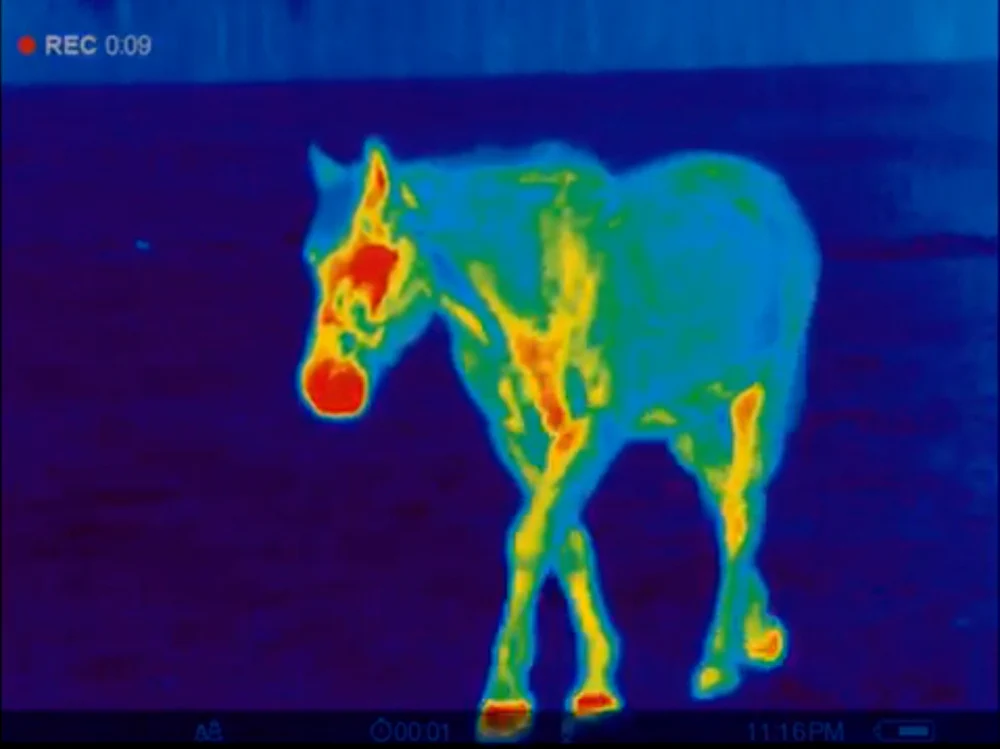 Axion XM30S Thermal Monocular - Image 3